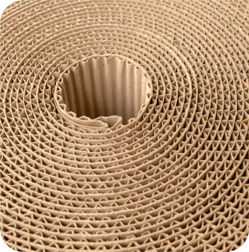 Planet Corrugated is a vertically integrated manufacturer of single-face corrugated solutions