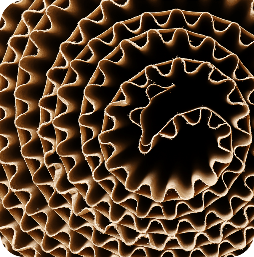 Planet Corrugated’s single-face corrugated solutions